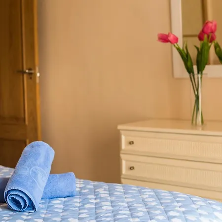 Erisa Ii 公寓 托雷莫利诺斯